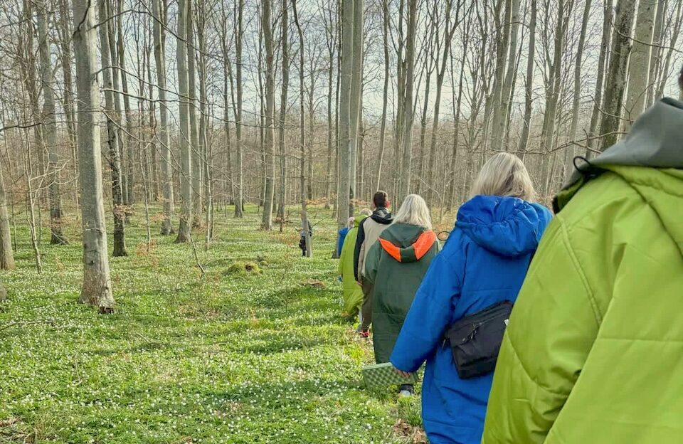 Sæt fokus på mental og kropslig trivsel på jeres arbejdsplads eller i foreningen. Samarbejde i Silkeborg eller jeg kommer til lokation nær jer.