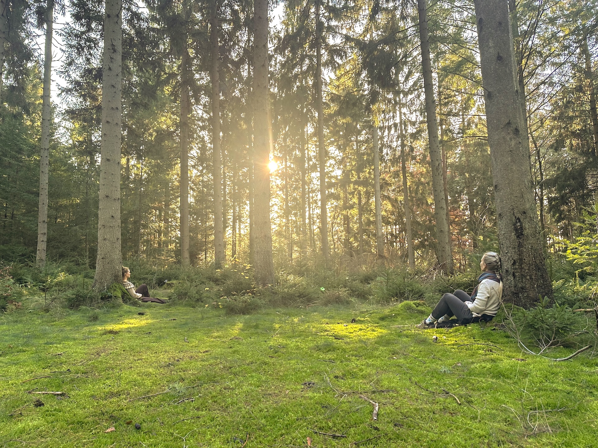 Oplever du uro, sitren i kroppen, svært ved at mærke dig selv – tegn på stress? Så kan naturen være der, hvor du kan finde ro i dit nervesystem med naturterapi i Silkeborg